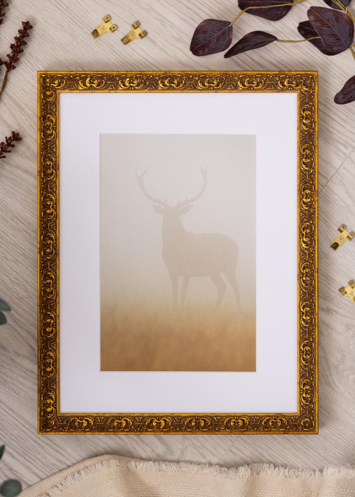 Ramme Amber Akrylglas Guld 40x60 cm