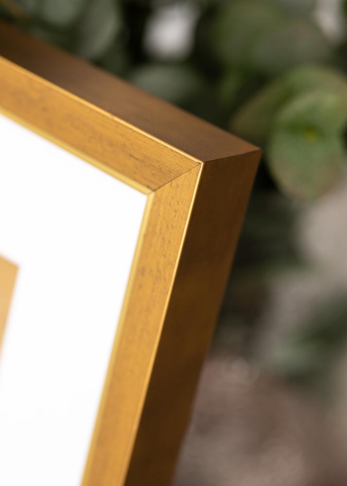 Ramme Brema Akrylglas Guld 29,7x42 cm (A3)