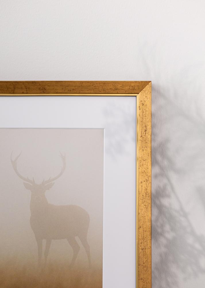 Ramme Brema Akrylglas Guld 29,7x42 cm (A3)