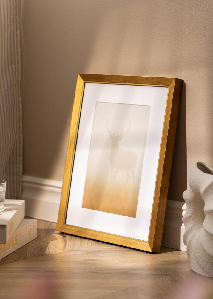 Ramme Brema Akrylglas Guld 29,7x42 cm (A3)