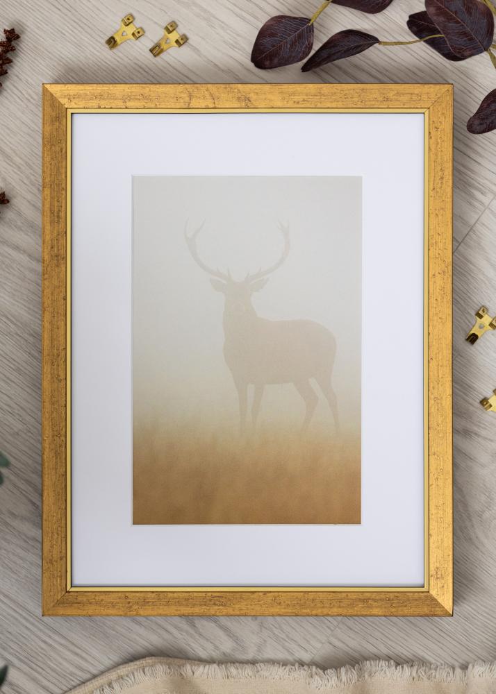 Ramme Brema Akrylglas Guld 29,7x42 cm (A3)