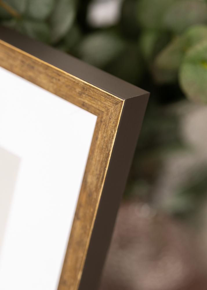 Ramme Dune Akrylglas Guld 40x60 cm