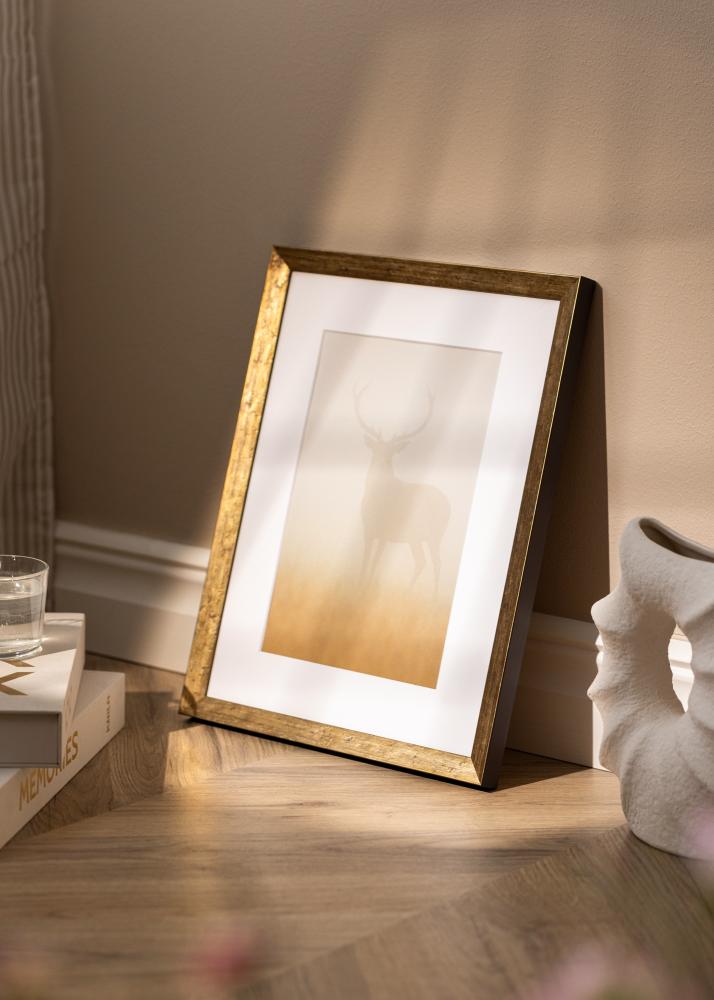 Ramme Dune Akrylglas Guld 40x60 cm