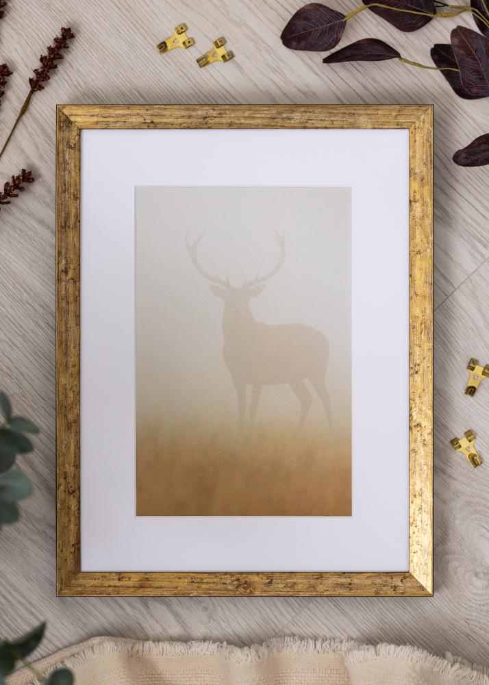 Ramme Dune Akrylglas Guld 40x60 cm