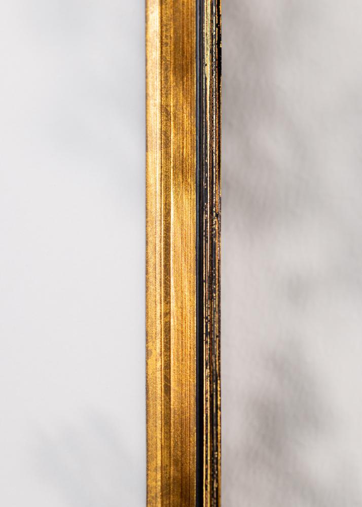 Ramme Ringa Akrylglas Guld 59,4x84,1 cm (A1)