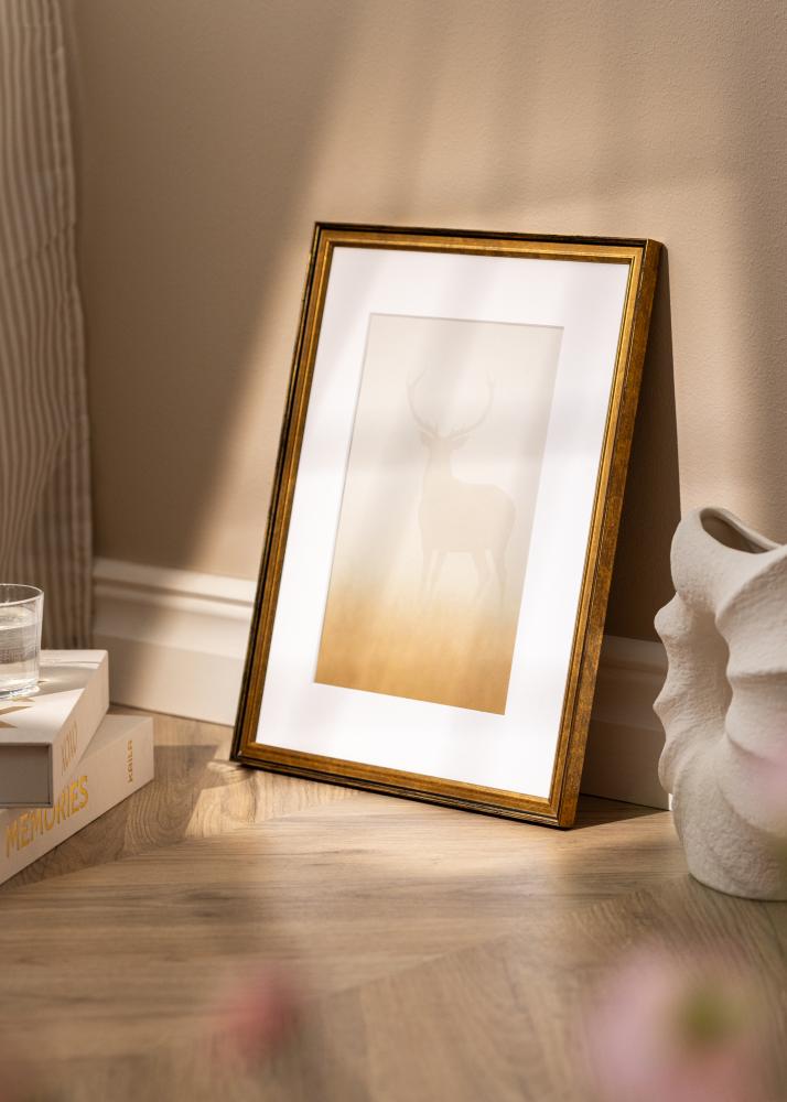 Ramme Ringa Akrylglas Guld 59,4x84,1 cm (A1)