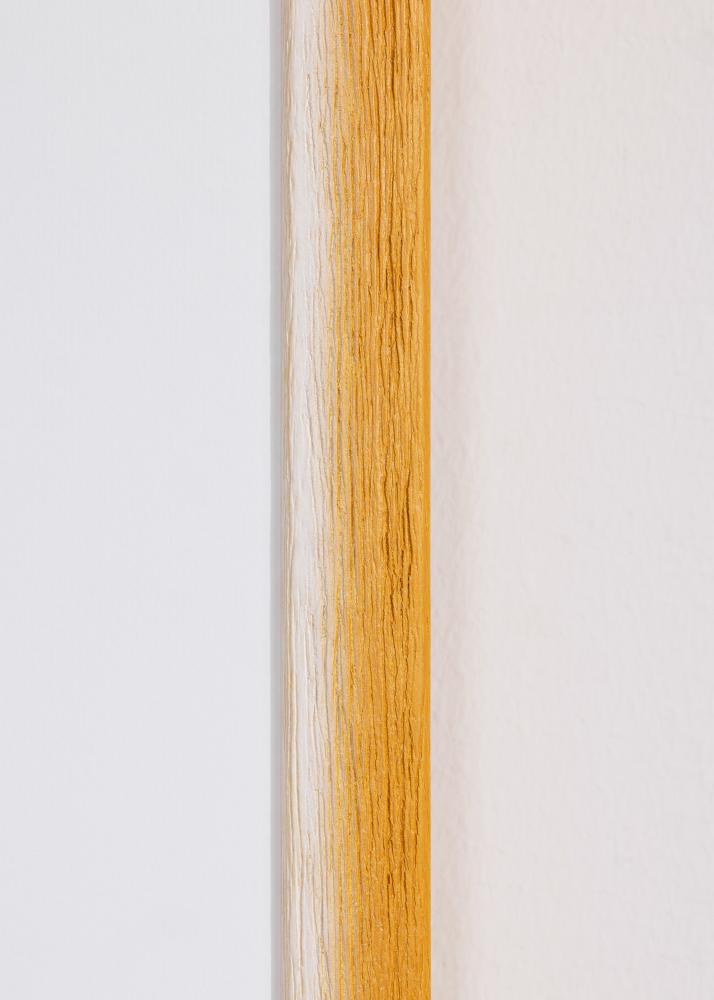 Ramme Cornwall Akrylglas Guld 40x60 cm