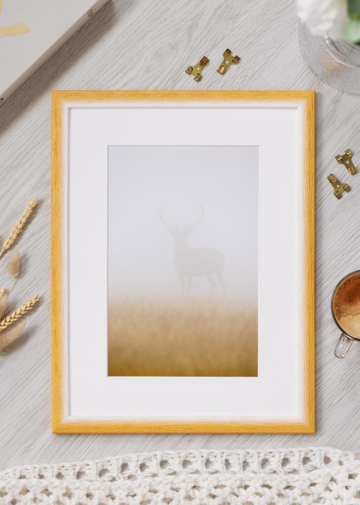 Ramme Cornwall Akrylglas Guld 40x60 cm