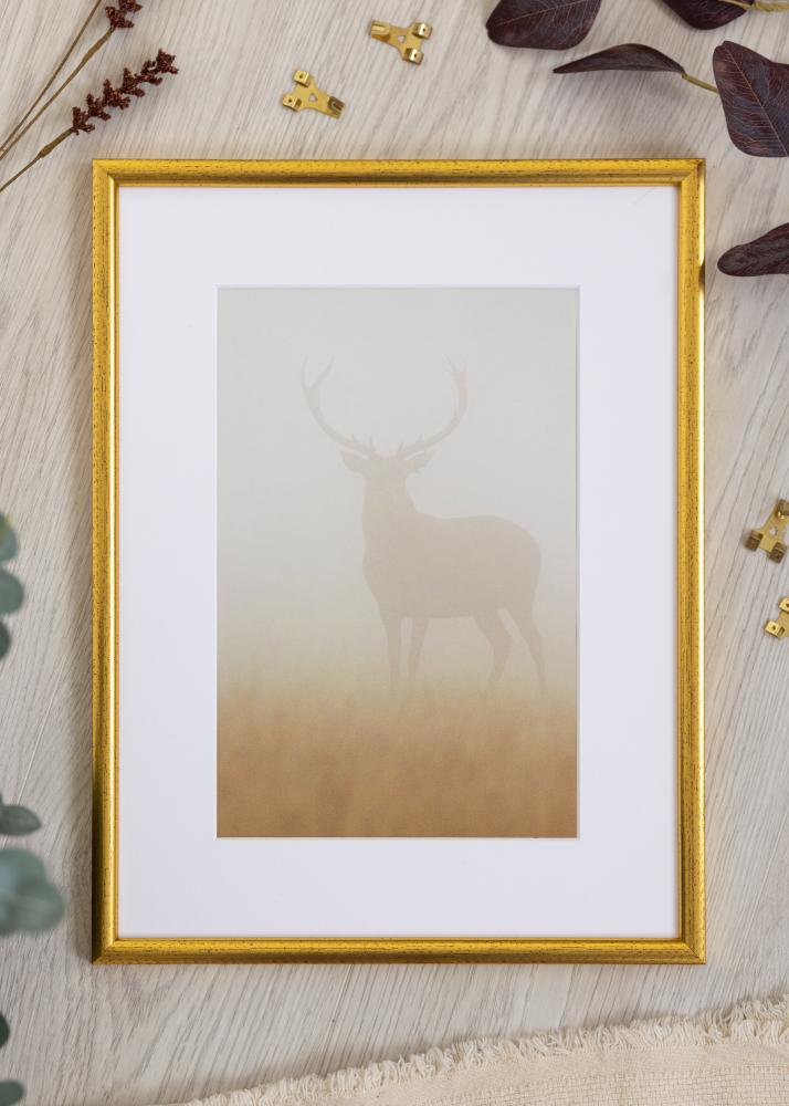 Ramme Newline Guld 18x24 cm