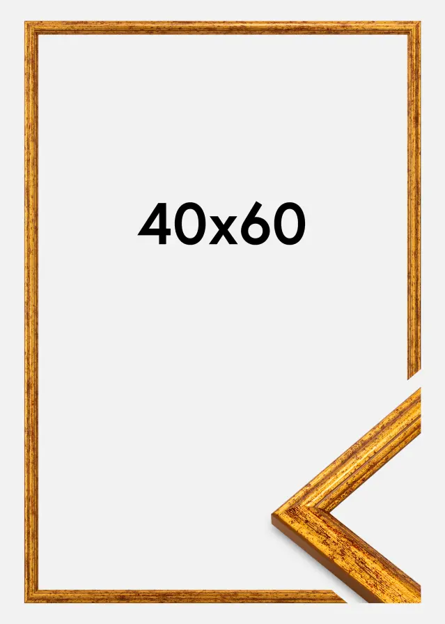 Ramme Claudia Akrylglas Guld 40x60 cm