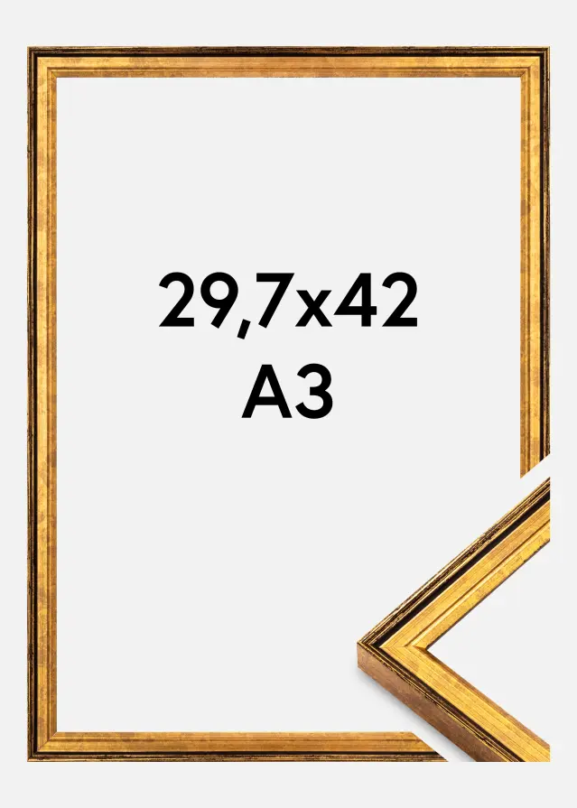 Ramme Ringa Akrylglas Guld 29,7x42 cm (A3)
