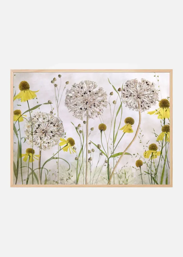 Alliums and heleniums Plakat