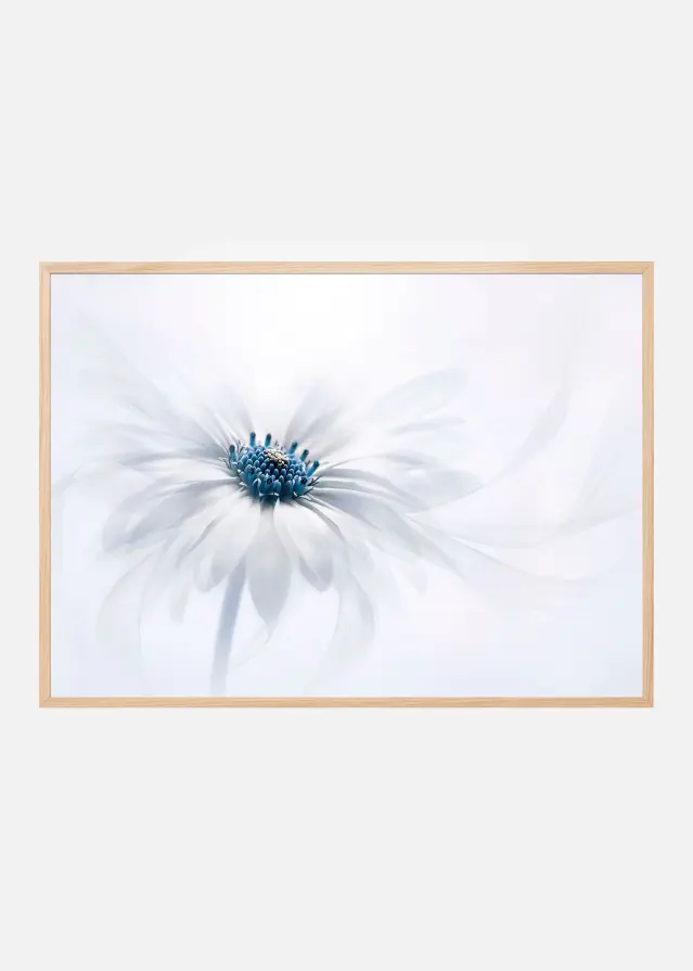 Serenity Plakat
