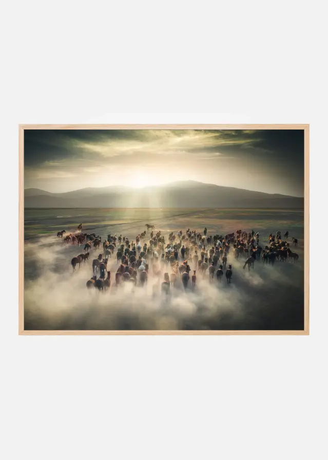 Wild Horses Plakat