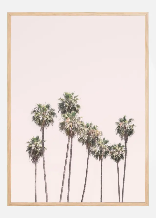 Blush Palms Plakat