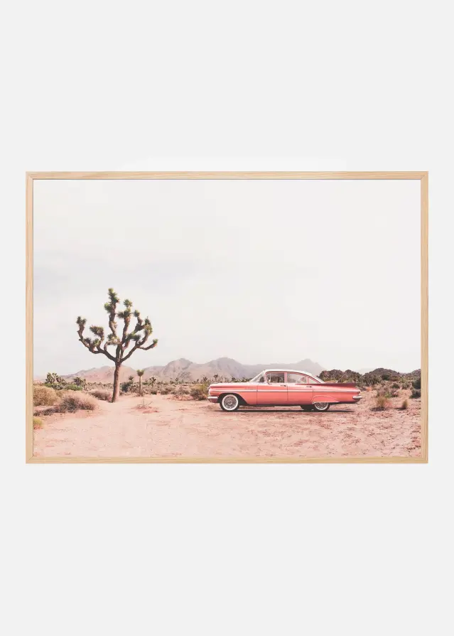In the desert Plakat