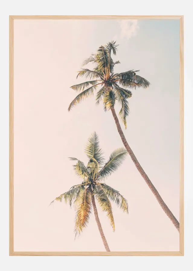 Tropical Palms Plakat