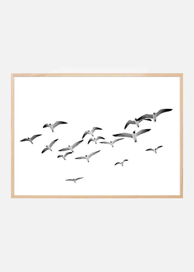 Flying Birds Plakat
