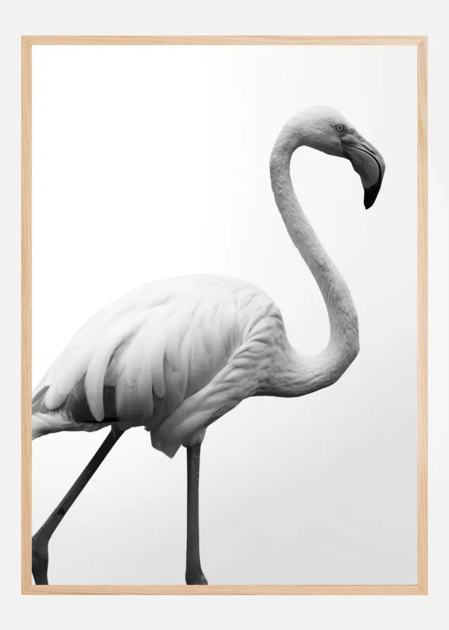 Dancer Plakat