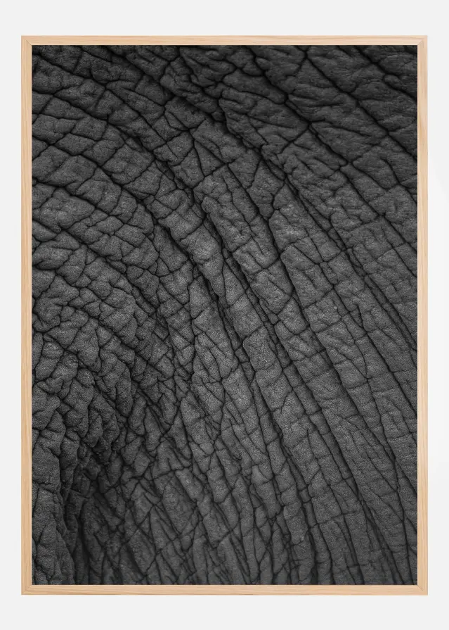 Olifant 03 Plakat