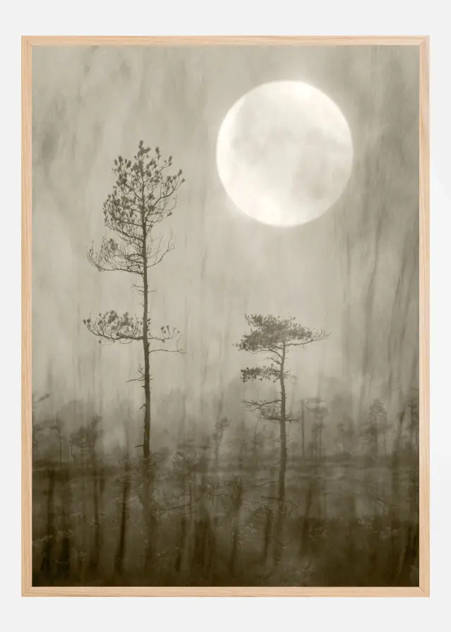 Moonlight Plakat