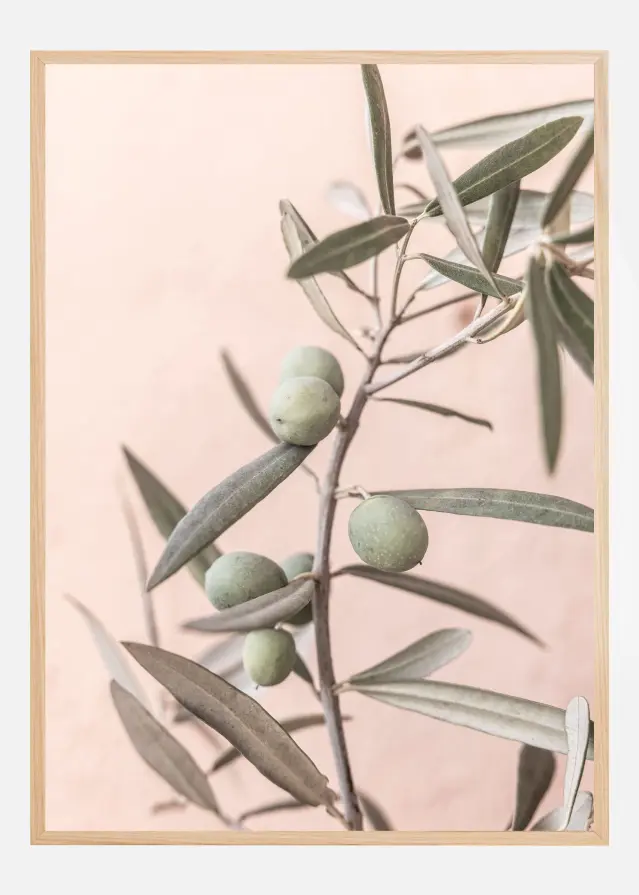 Olives Plakat