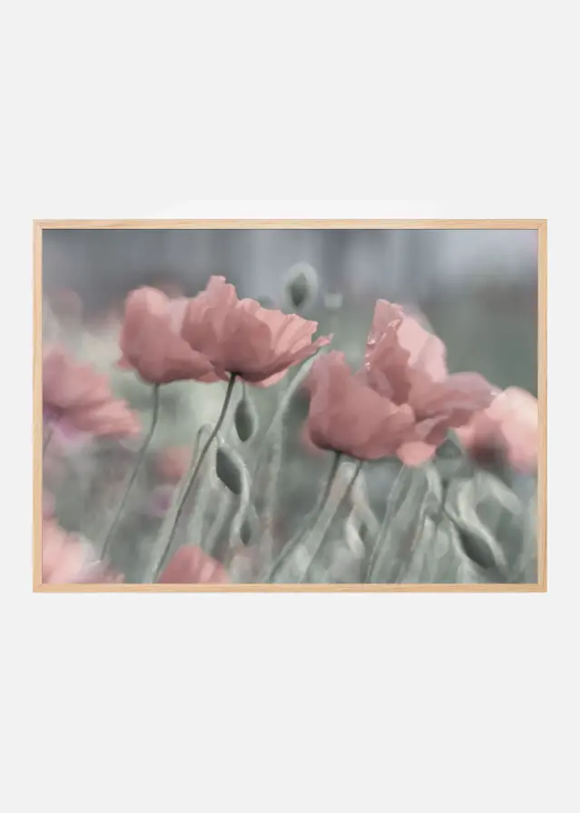 Softly Plakat