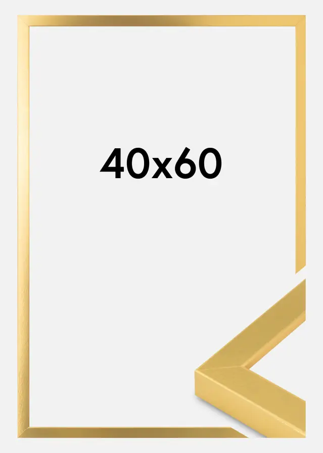 Billedramme Guld Bred 40 x 60 cm