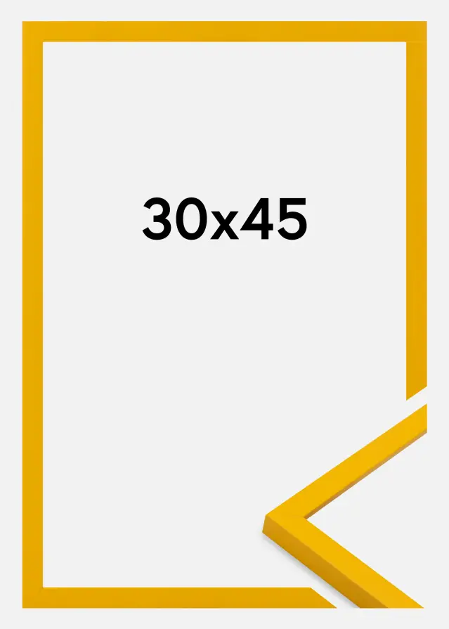 Ramme Kent Akrylglas Guld 30x45 cm