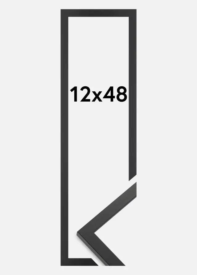 Ramme Trendy Akrylglas Sort 12x48 cm