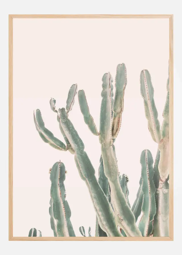 Sunrise Cactus Plakat