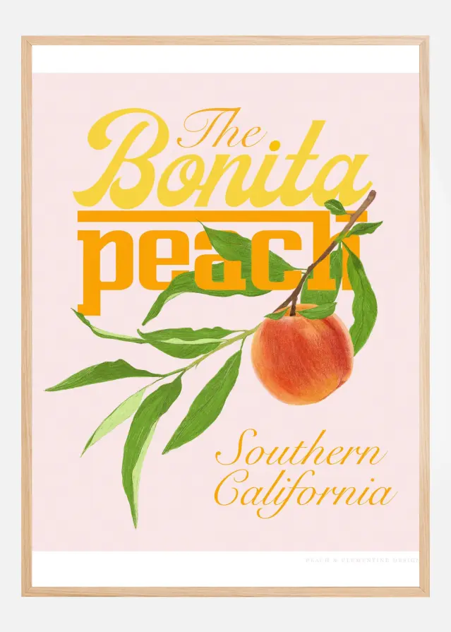 Pandcbonitapeach Copy Plakat