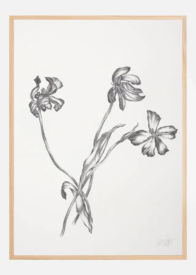 Where Have All the Flowers Gone VI Plakat