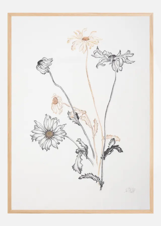 Where Have All the Flowers Gone Plakat