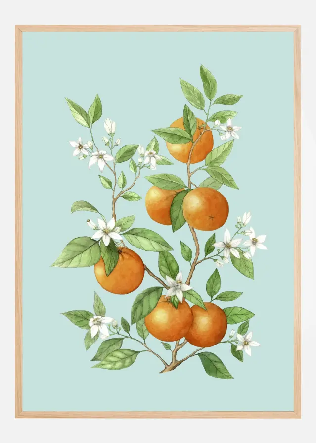 Laranja - Orange Fruit Plakat