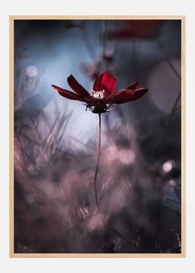 Tenue de soirAce Plakat