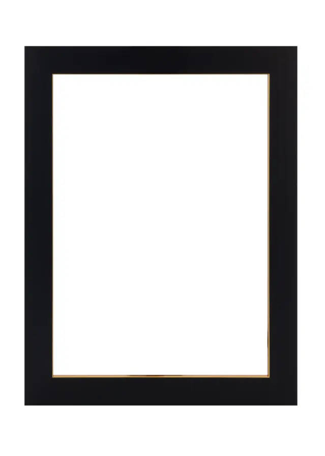 Ramme Sussex Akrylglas Sort/Guld 21x29,7 cm (A4)