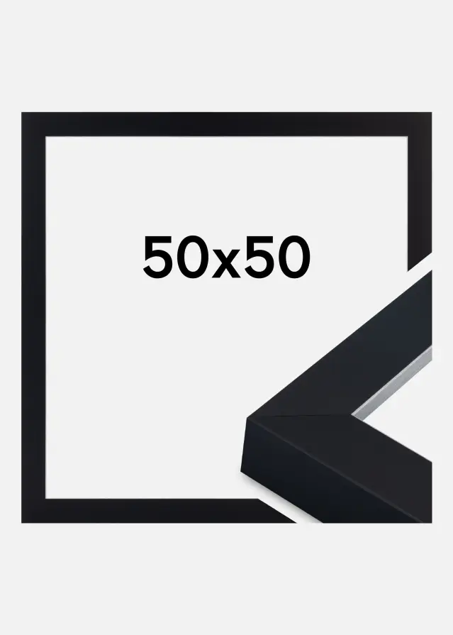 Ramme Sussex Akrylglas Sort/Sølv 50x50 cm