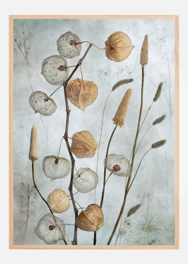 Lanterns* Plakat