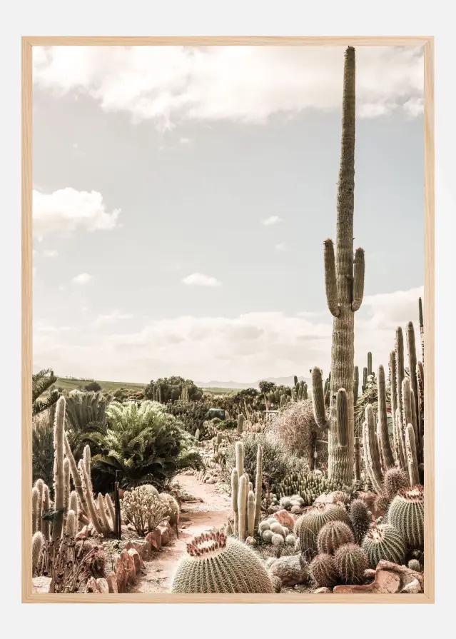 Cactus Farm Plakat