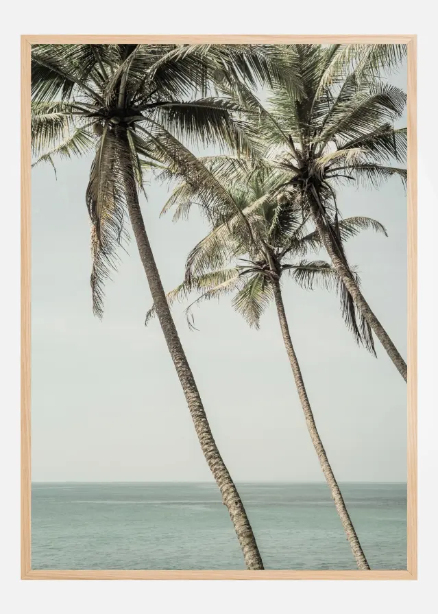 Ocean Breeze Palms Plakat