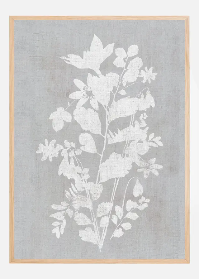 Botanical Illustration 2 Plakat