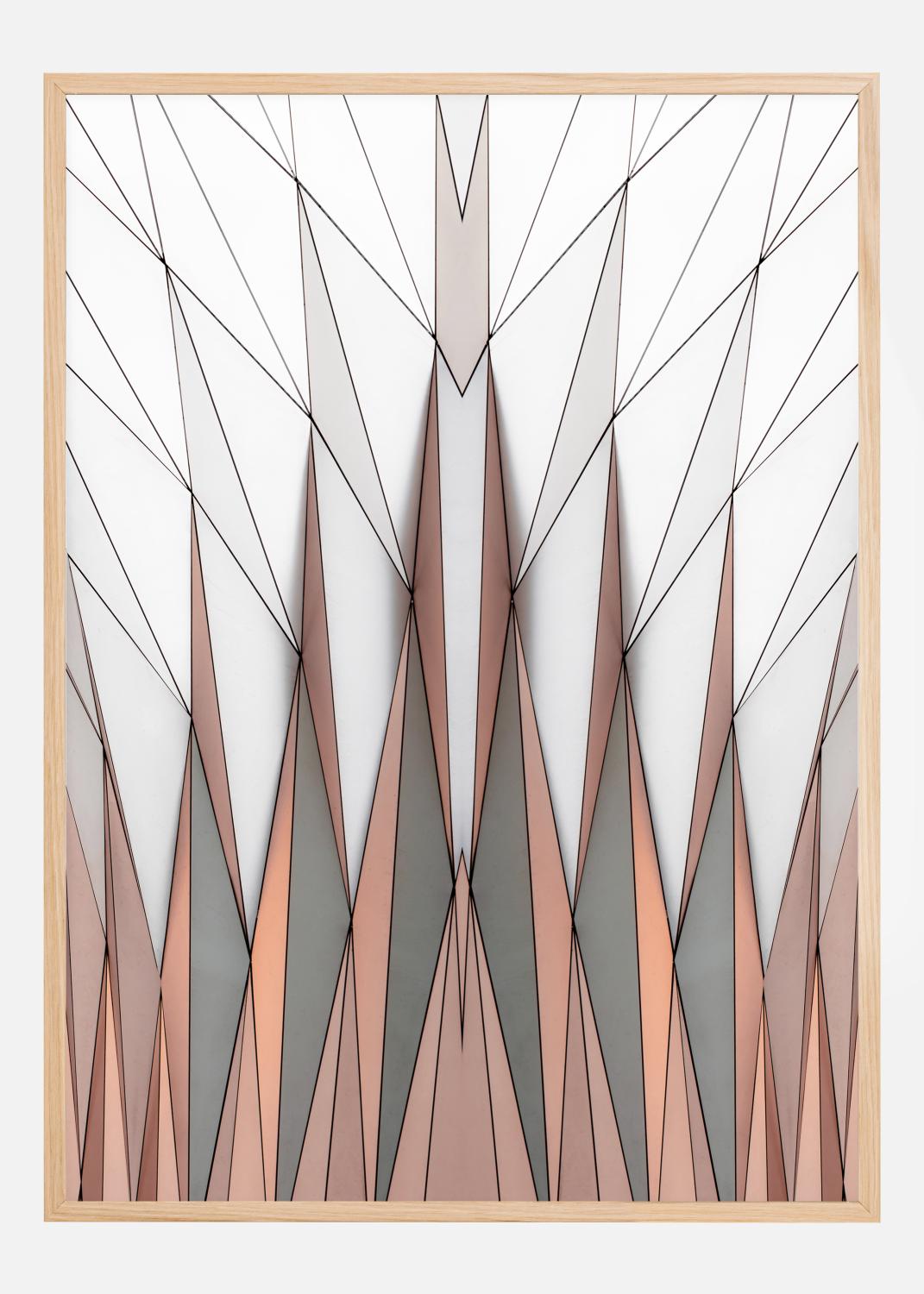 Product Image for Organo leggero Plakat (50x70 cm)