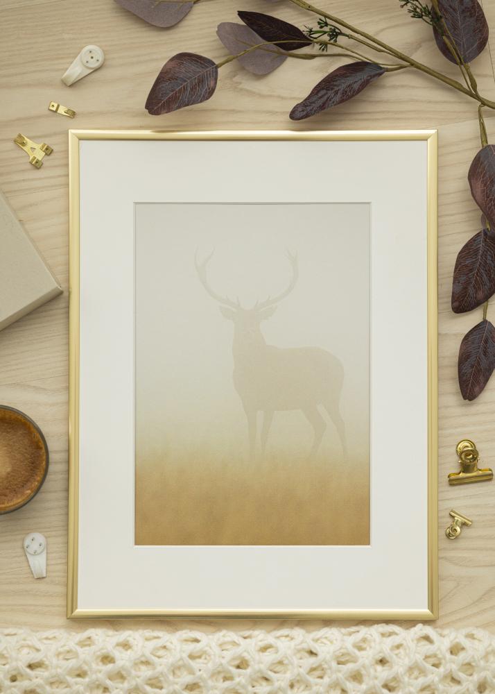Ramme New Lifestyle Akrylglas Shiny Gold 70x100 cm