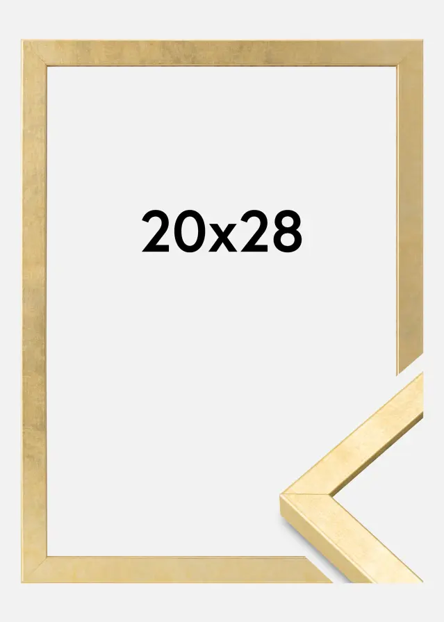 Ramme Ares Akrylglas Guld 20x28 cm