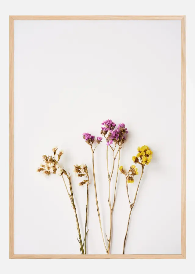 Dried flowers I Plakat