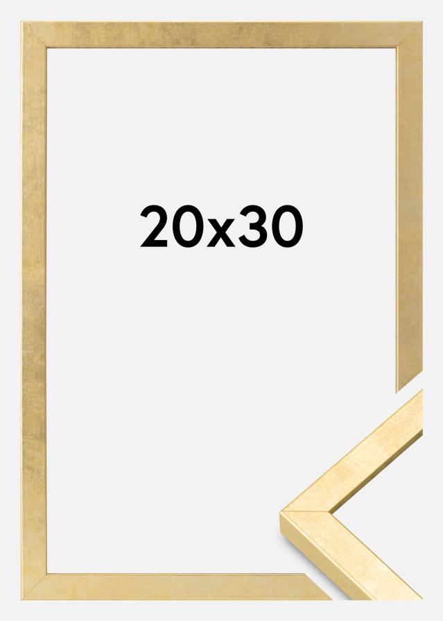Ramme Ares Akrylglas Guld 20x30 cm