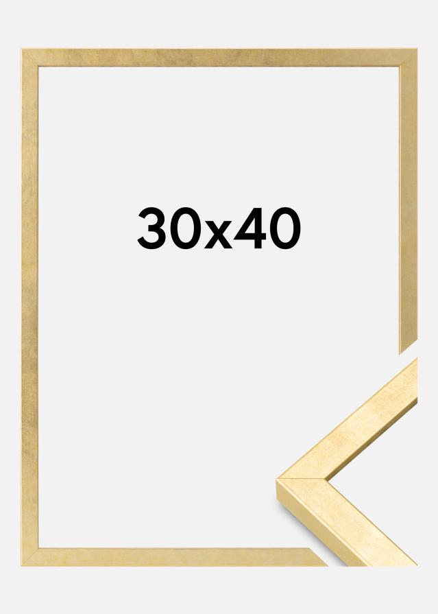 Ramme Ares Akrylglas Guld 30x40 cm