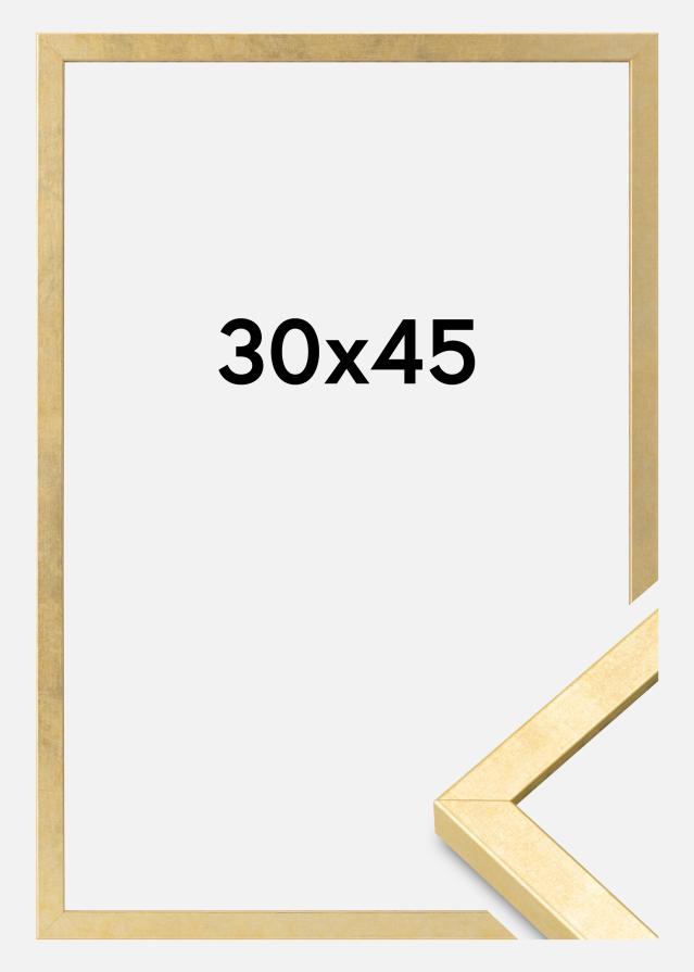 Ramme Ares Akrylglas Guld 30x45 cm