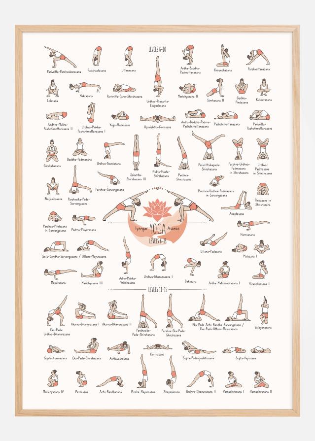 Yoga in Colour lll Plakat